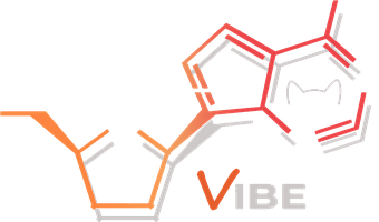 VibeVsFip