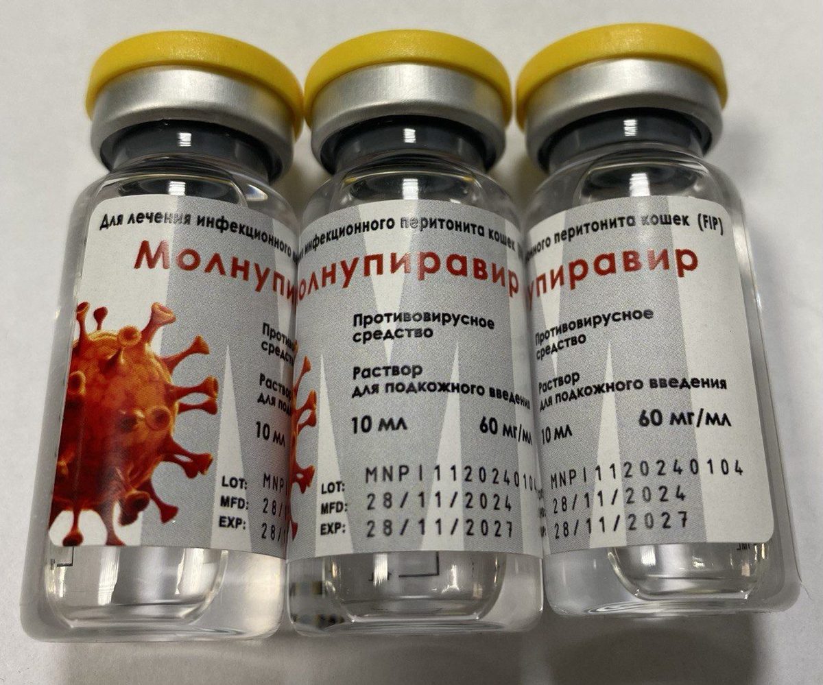 Molnupiravir — injection solution